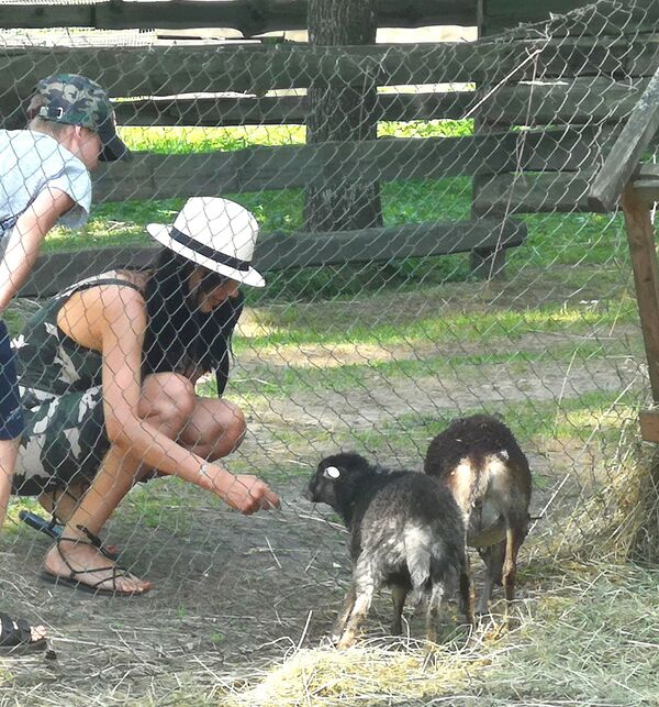 Русская община Риги в вольере для волков: как прошел субботник в зоопарке - Sputnik Латвия