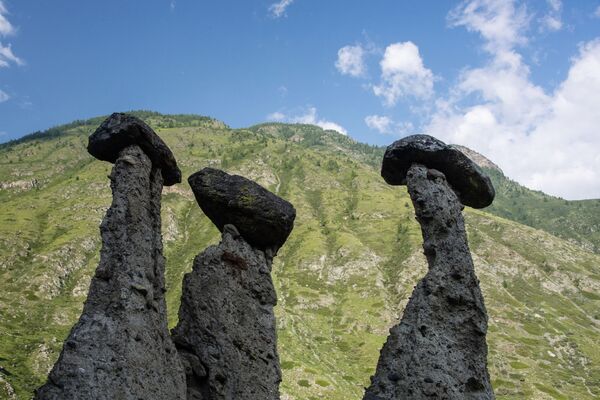 Каменные грибы в долине реки Чулышман в Республике Алтай - Sputnik Латвия