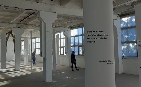 Назло дождям: летние фестивали в пандемическом формате - Sputnik Латвия