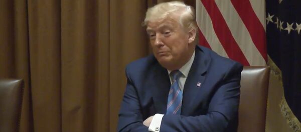 Pentagona vadītājs informēja par ASV spēku izvešanu no Vācijas - Sputnik Latvija