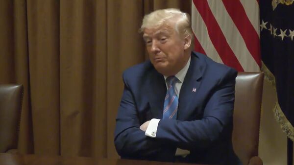 А Польше - кукиш: обиженный Трамп похоронил форт имени себя - Sputnik Латвия