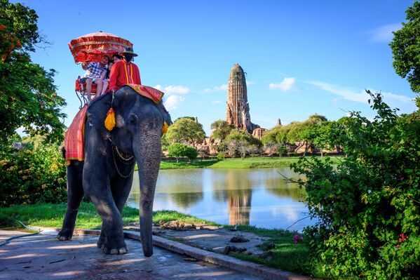 Tūristi brauc uz ziloņa pie vecā budisma tempļa Ajuthajā, aptuveni 70 km uz ziemeļiem no Bangkokas, Taizeme.  - Sputnik Latvija