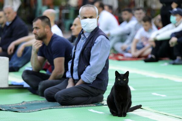 Кошка среди молящихся мусульман возле мечети Коконоз в Тиране, Албания - Sputnik Латвия