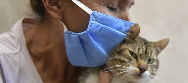 Женщина из команды Путь животных, помогающей бездомным животным в период карантина, целует спасенную кошку в районе Сьюдад-Боливар, на юге Боготы, Колумбия - Sputnik Latvija