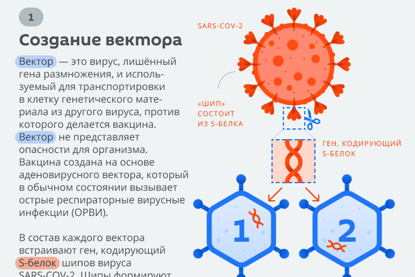 Двухвекторная вакцина от коронавируса - Sputnik Латвия
