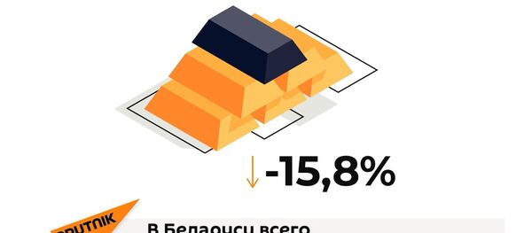 Последствия протестов для экономики Беларуси - Sputnik Латвия