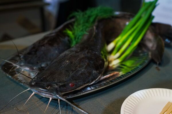 Картофельное мороженое и латгальский шмохито: в Риге прошла выставка Вкус краев - Sputnik Латвия