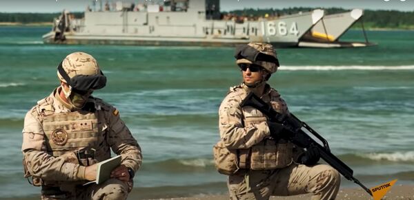 Эстонский скотный двор: свиньи гусям не товарищи. А господа - Sputnik Латвия