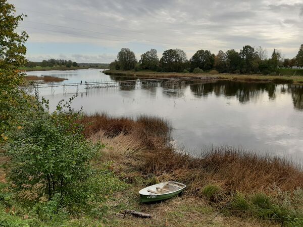 День миноги: в Салацгриве в выходные прошел праздник главного деликатеса - Sputnik Латвия