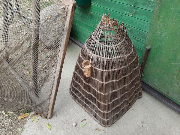 День миноги: в Салацгриве в выходные прошел праздник главного деликатеса - Sputnik Латвия