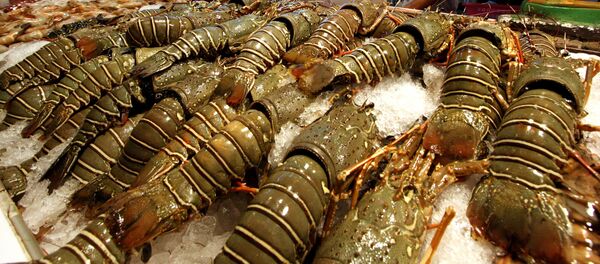 Лобстеры Лобстеры - Sputnik Латвия