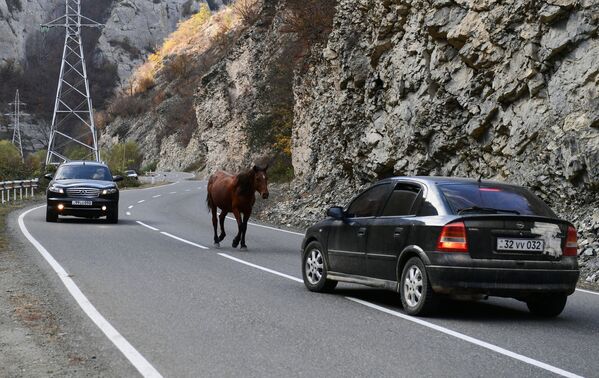 Лошадь на горной дороге в Нагорном Карабахе - Sputnik Латвия