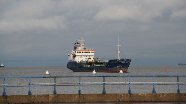 Грузовое судно в морском торговом порту Усть-Луга - Sputnik Латвия