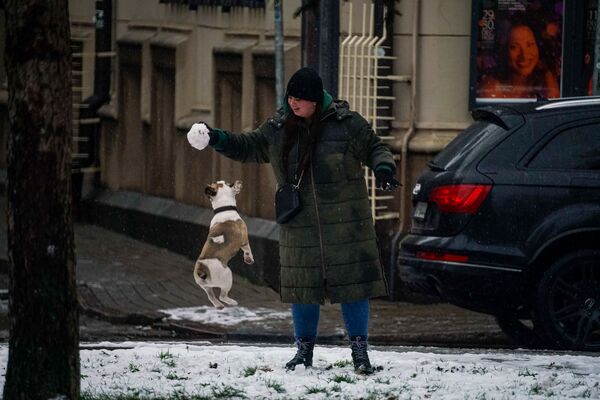 Прогулка с собакой в Риге - Sputnik Латвия