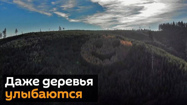 Смайлик на холме: в Америке улыбаются даже деревья - Sputnik Latvija