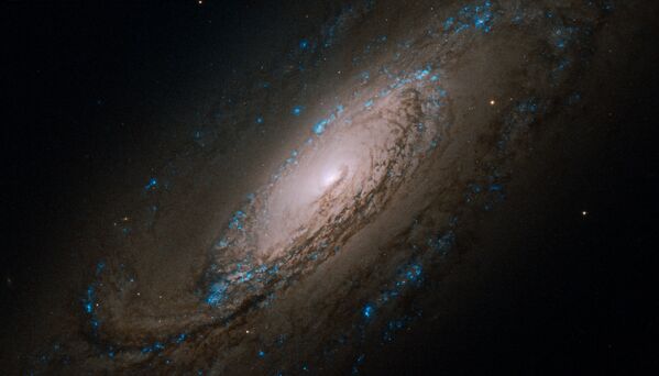 Galaktika NGC 5005 Dzinējsuņu zvaigznājā  - Sputnik Latvija