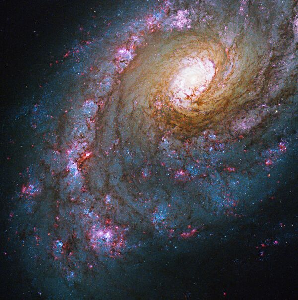 Galaktika NGC 5248 Vēršu dzinēja zvaigznājā  - Sputnik Latvija