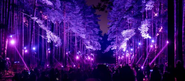 Световая инсталляция «В саду Зазеркалья» в Бикерниекском лесу бьет рекорды посещаемости Световая инсталляция «В саду Зазеркалья» в Бикерниекском лесу бьет рекорды посещаемости - Sputnik Латвия