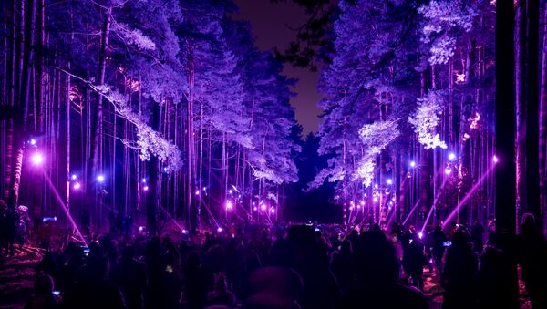 Световая инсталляция  «В саду Зазеркалья» в Бикерниекском лесу бьет рекорды посещаемости - Sputnik Латвия