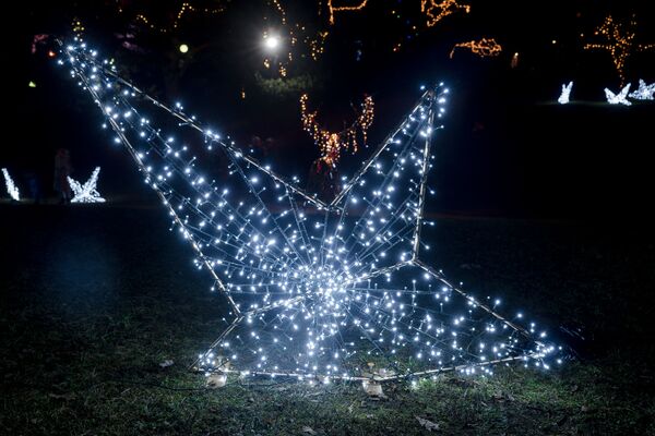Попасть в Зазеркалье: световые объекты в Риге бьют рекорды посещаемости - Sputnik Латвия