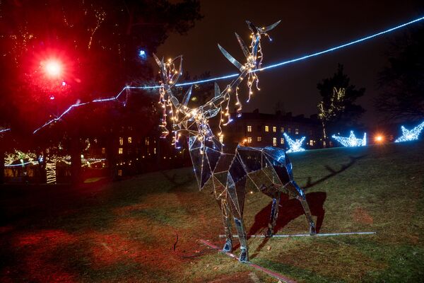 Попасть в Зазеркалье: световые объекты в Риге бьют рекорды посещаемости - Sputnik Латвия