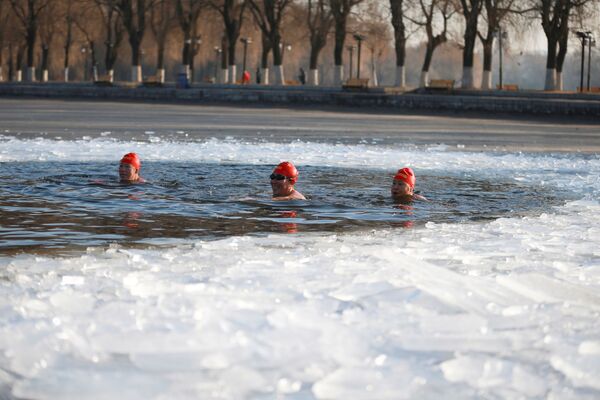 Любители зимнего плавания на частично замерзшем озере в парке в Шэньяне в провинции Ляонин на северо-востоке Китая - Sputnik Latvija