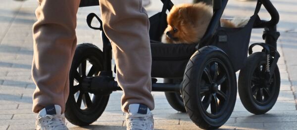 Человек с собакой на прогулке - Sputnik Латвия