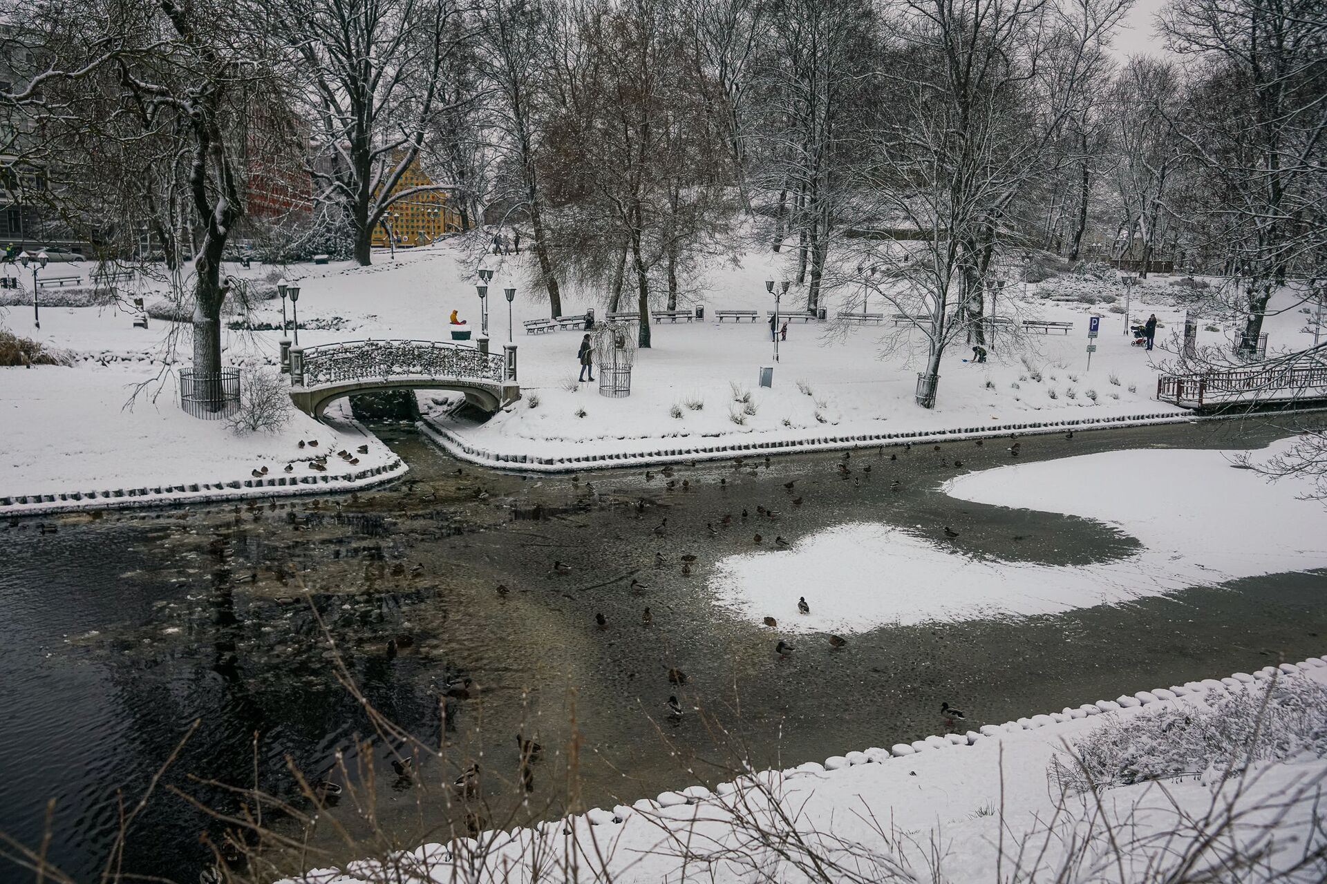 Вид на городской канал и Бастионную горку в Риге Вид на городской канал и Бастионную горку в Риге - Sputnik Латвия, 1920, 25.03.2025