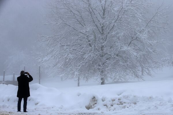 Мужчина фотографирует покрытое снегом дерево на Корсике  - Sputnik Латвия