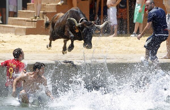 Бык прыгает в море во время испанского фестиваля Bous a la mar - Sputnik Latvija