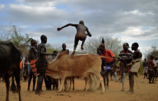 Мужчина во время церемонии прыжков через быка в Эфиопии  - Sputnik Latvija