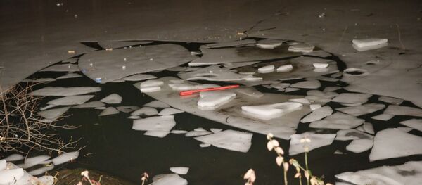 Тонкий лед Тонкий лед - Sputnik Латвия