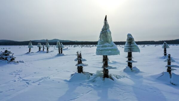 Ледяные грибы на Дальнем Востоке  - Sputnik Латвия