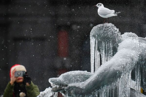Птица на покрытой льдом статуе на Трафальгарской площади в Лондоне  - Sputnik Латвия
