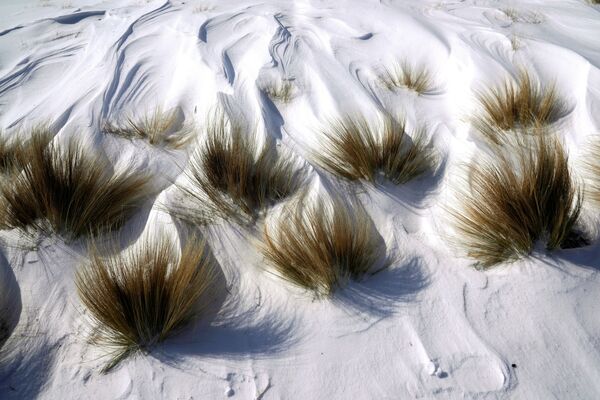 Трава в снегу в парке Scissortail во время рекордно холодной погоды в Оклахома-Сити, штат Оклахома - Sputnik Латвия