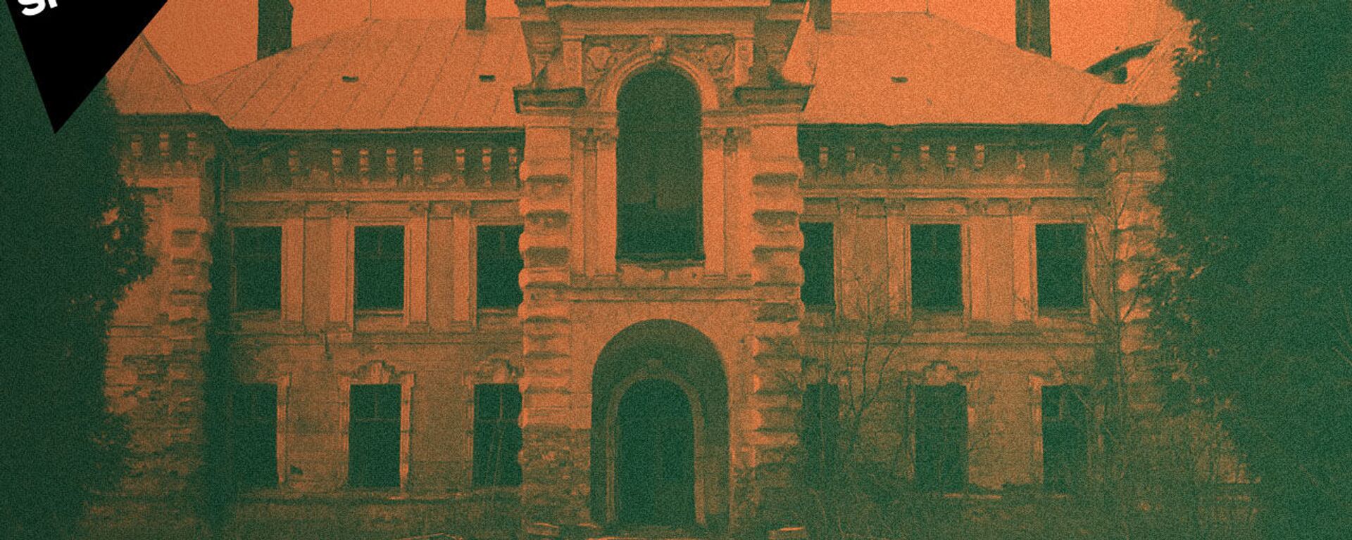 Как на Украине разрушаются старинные дворцы и усадьбы - Sputnik Латвия, 1920, 20.02.2021