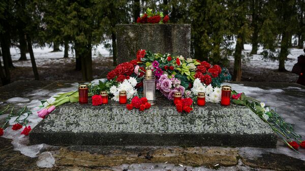 В ночь на 24 февраля в Екабпилсе вандалы украли пушку ЗиС-3 с могилы героев-освободителей Екабпилса от нацистских захватчиков - Sputnik Latvija