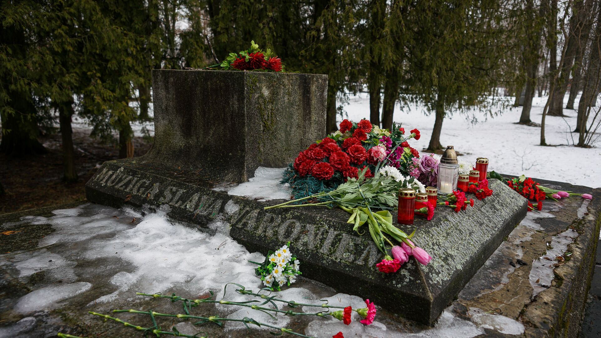 В ночь на 24 февраля в Екабпилсе вандалы украли пушку ЗиС-3 с могилы героев-освободителей Екабпилса от нацистских захватчиков - Sputnik Латвия, 1920, 16.03.2021