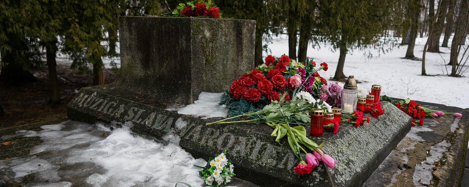 В ночь на 24 февраля в Екабпилсе вандалы украли пушку ЗиС-3 с могилы героев-освободителей Екабпилса от нацистских захватчиков - Sputnik Latvija, 1920, 20.03.2021