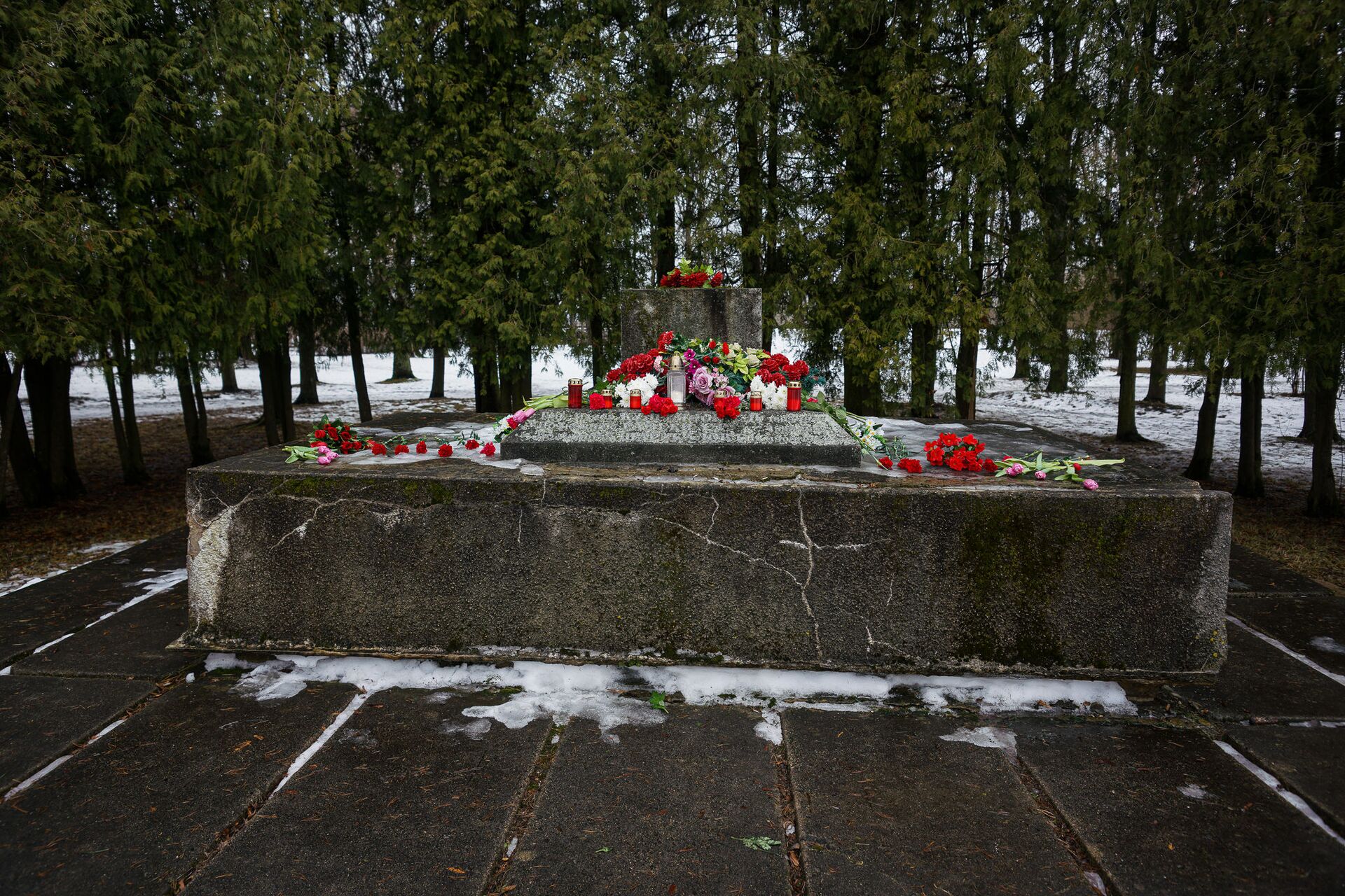 Селфи на фоне ржавого штыря и свежие цветы воинам: что в Екабпилсе думают о краже пушки - Sputnik Латвия, 1920, 25.02.2021