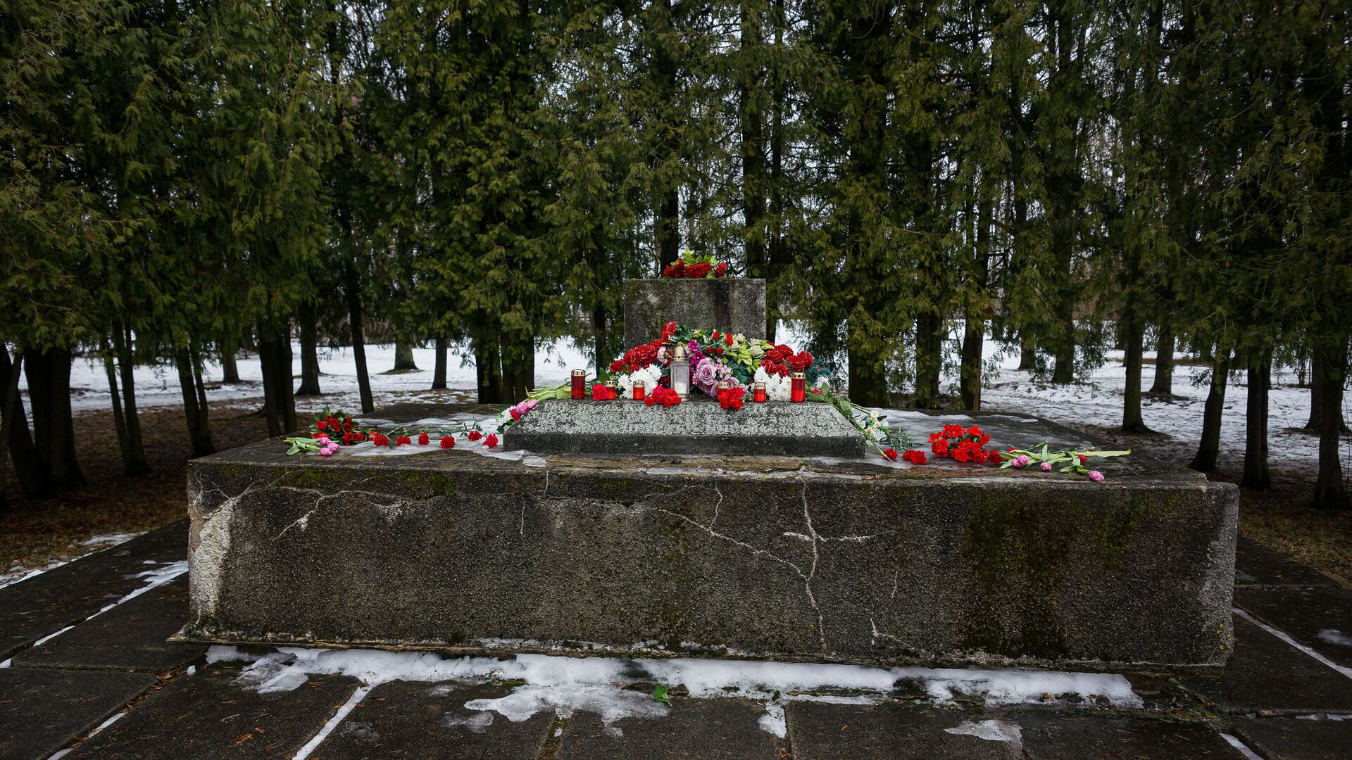 В ночь на 24 февраля в Екабпилсе вандалы украли пушку ЗиС-3 с могилы героев-освободителей Екабпилса от нацистских захватчиков - Sputnik Латвия, 1920, 12.03.2021