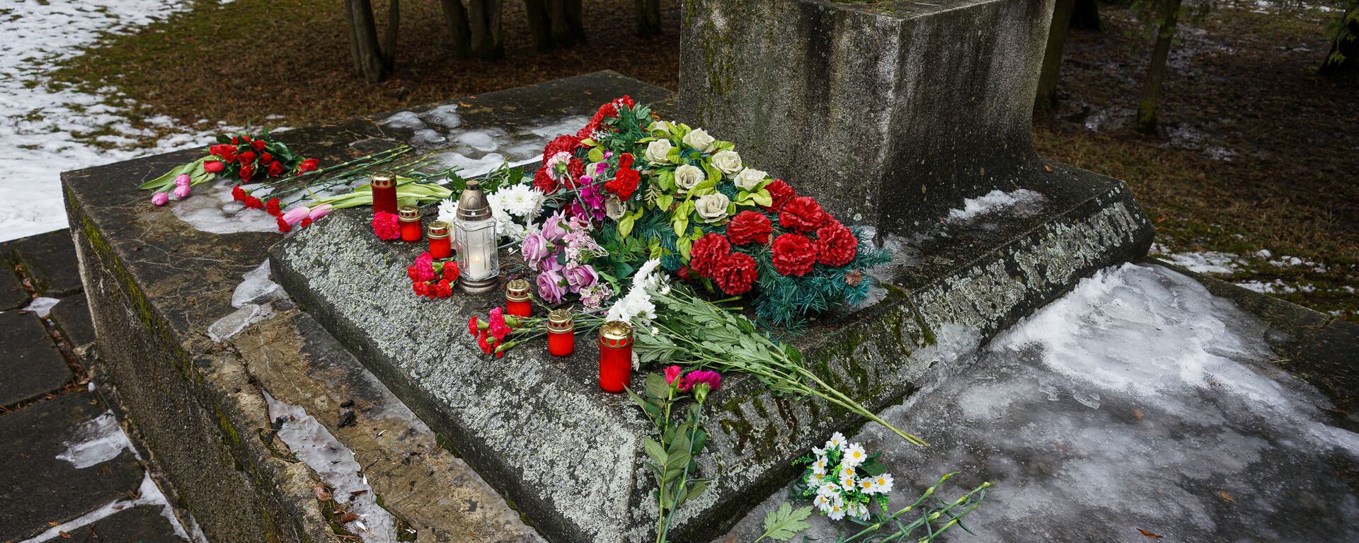 В ночь на 24 февраля в Екабпилсе вандалы украли пушку ЗиС-3 с могилы героев-освободителей Екабпилса от нацистских захватчиков - Sputnik Латвия, 1920, 09.11.2021
