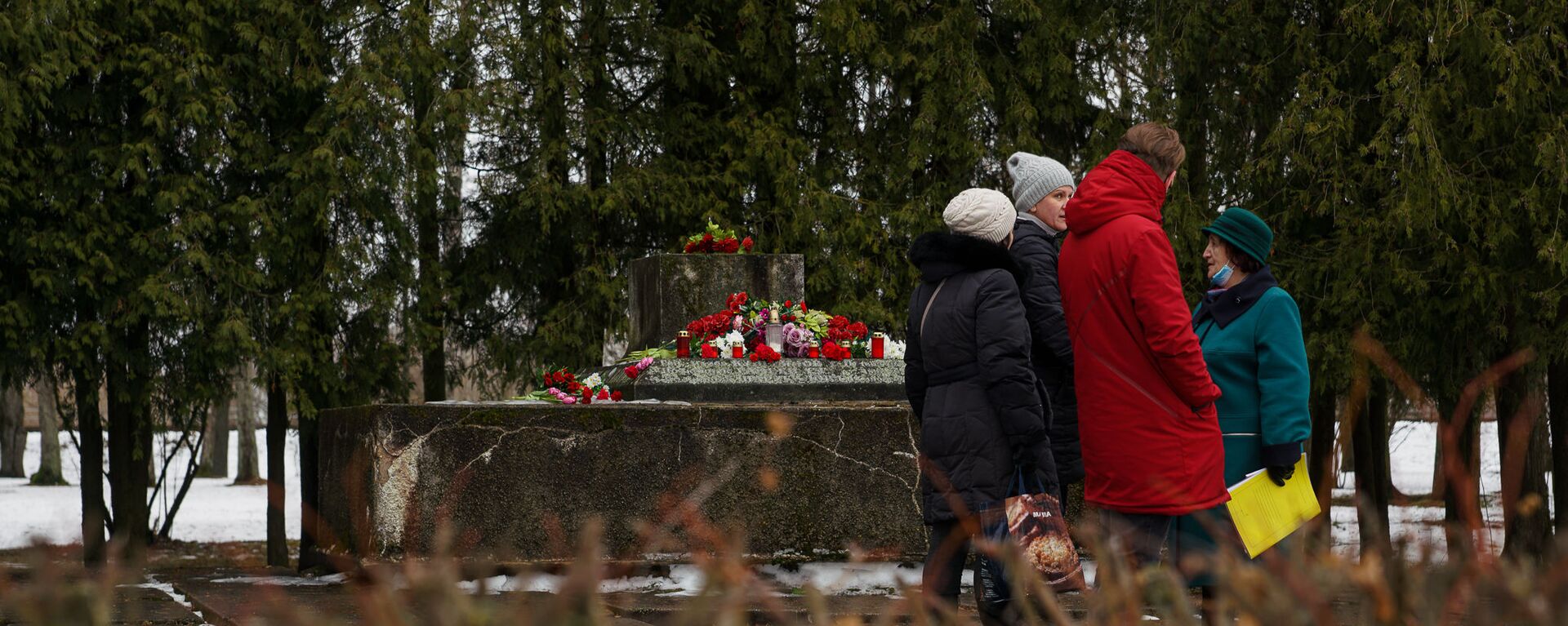 В ночь на 24 февраля в Екабпилсе вандалы украли пушку ЗиС-3 с могилы героев-освободителей Екабпилса от нацистских захватчиков - Sputnik Латвия, 1920, 15.03.2021