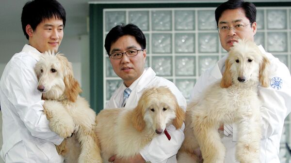 Профессор из Сеульского национального университета Ли Бён-чунь демонстрирует клонированных собак. Южная Корея - Sputnik Latvija