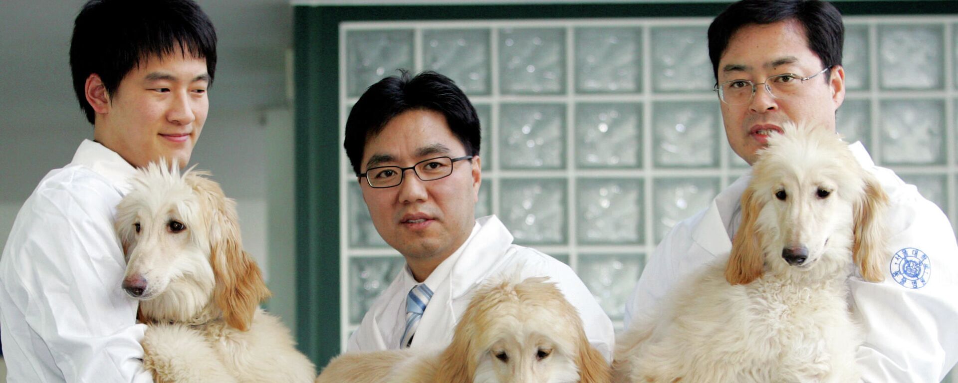 Профессор из Сеульского национального университета Ли Бён-чунь демонстрирует клонированных собак. Южная Корея - Sputnik Latvija, 1920, 25.02.2021
