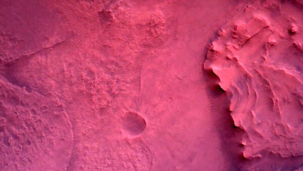 Фотографии, снятые исследовательским аппаратом NASA's Perseverance Mars Rover с помощью камеры Rover Down-Look Camera - Sputnik Latvija