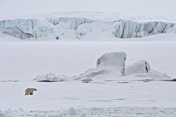 Белый медведь на льдине в Северном Ледовитом океане - Sputnik Латвия