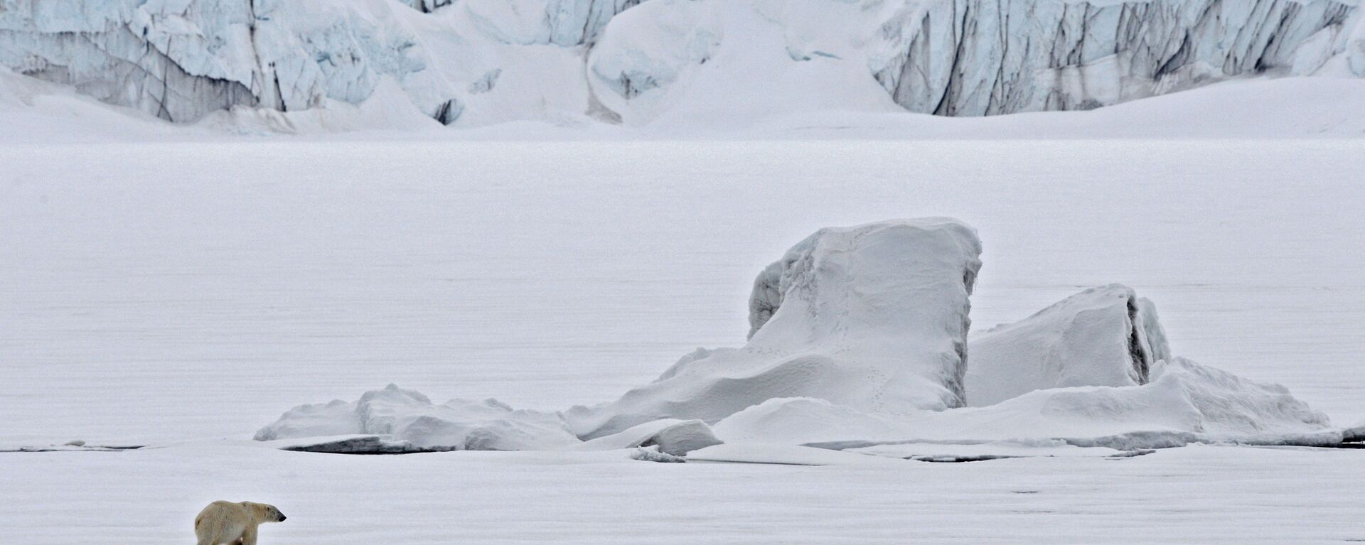 Белый медведь на льдине в Северном Ледовитом океане - Sputnik Latvija, 1920, 21.04.2021