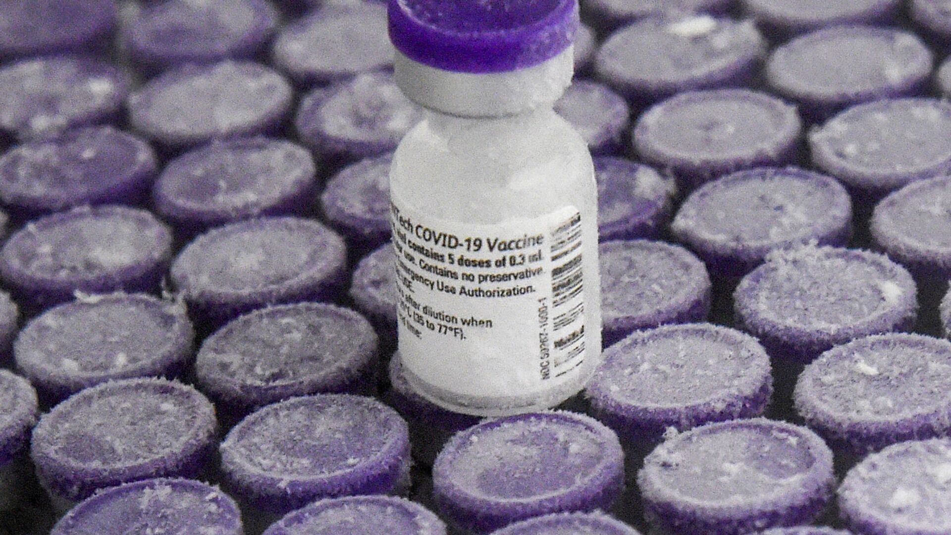 Вакцина от COVID-19 производства компании Pfizer - Sputnik Латвия, 1920, 11.05.2021