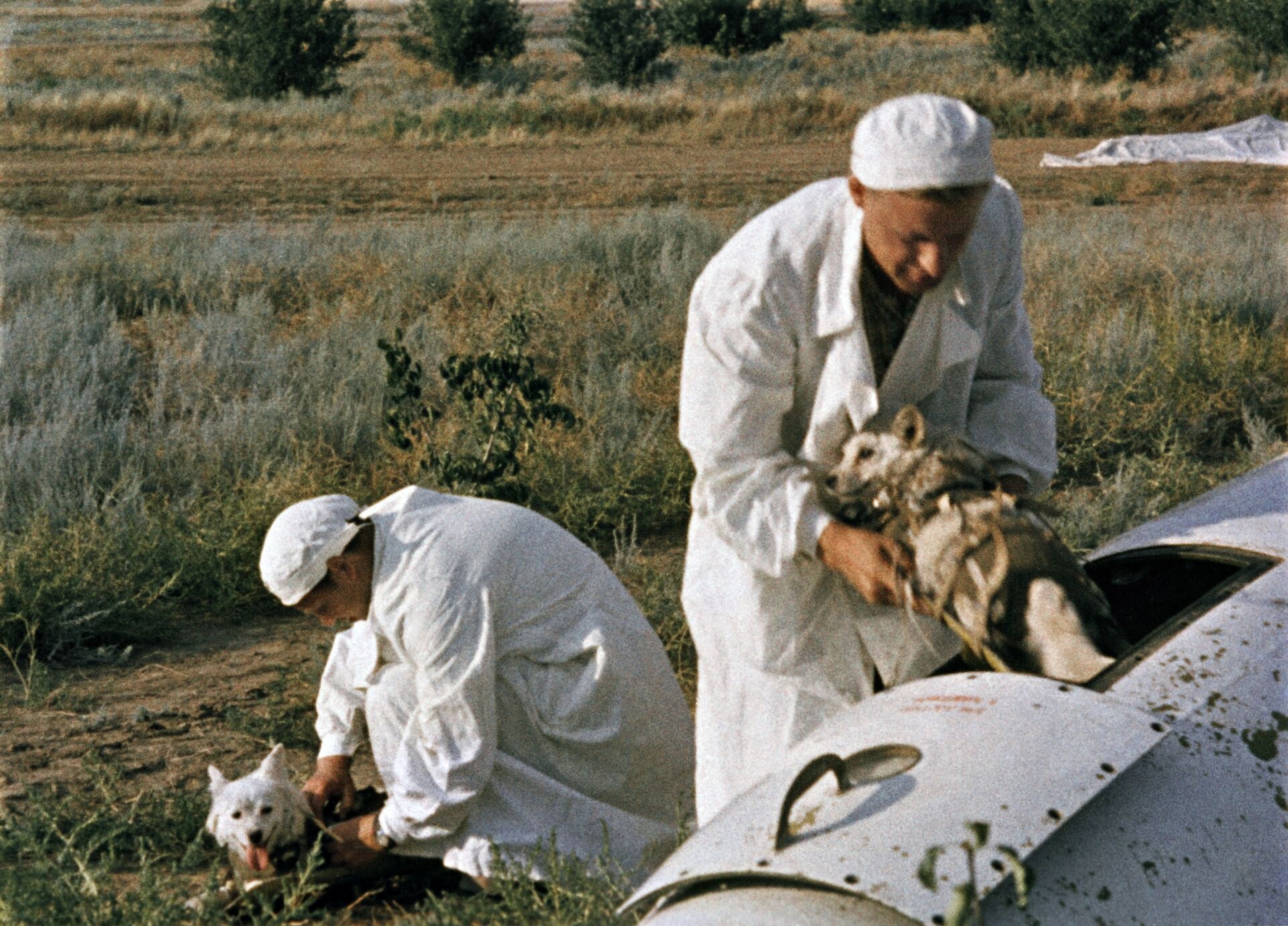 Врачи извлекают подопытных собак из кабины головной части геофизической ракеты на месте приземления. - Sputnik Latvija, 1920, 01.06.2021